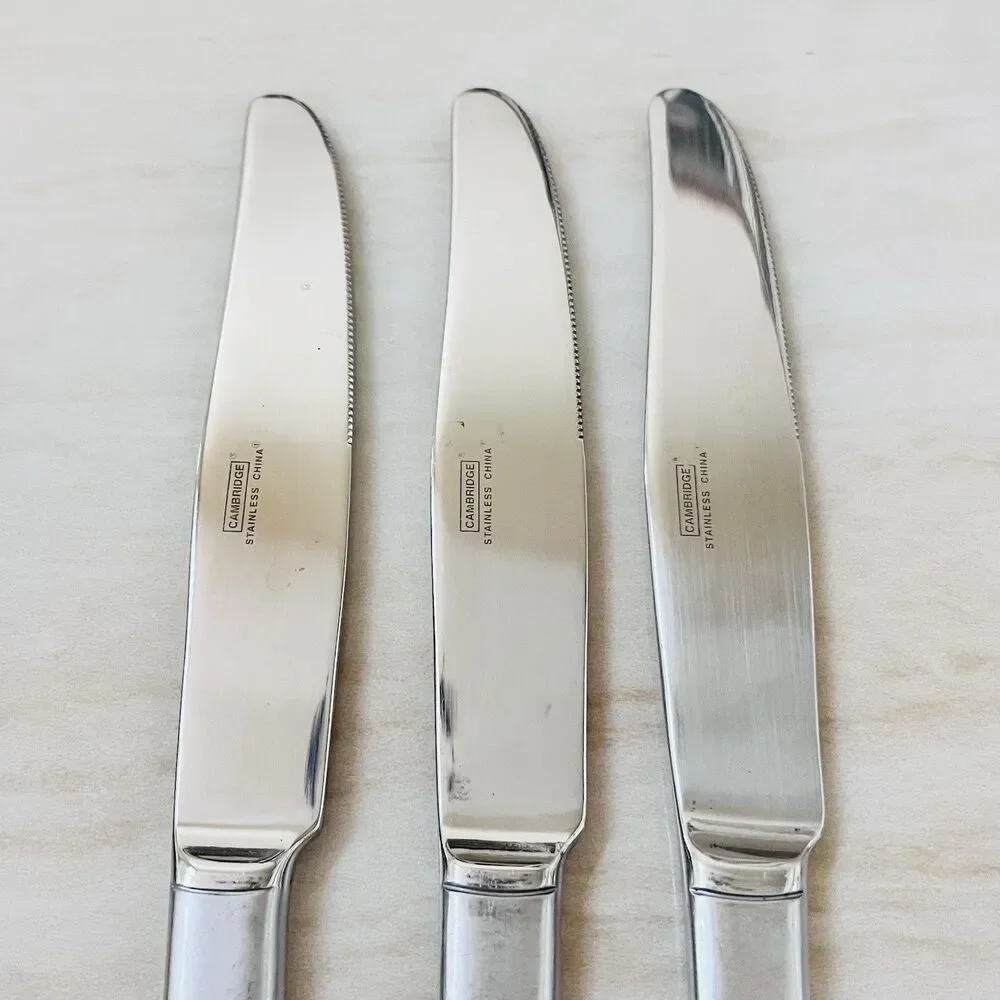 3pc CAMBRIDGE CBS98 Stainless Dinner Knife 9 3/8” Frosted 18/8 Glossy Tip & Bowl